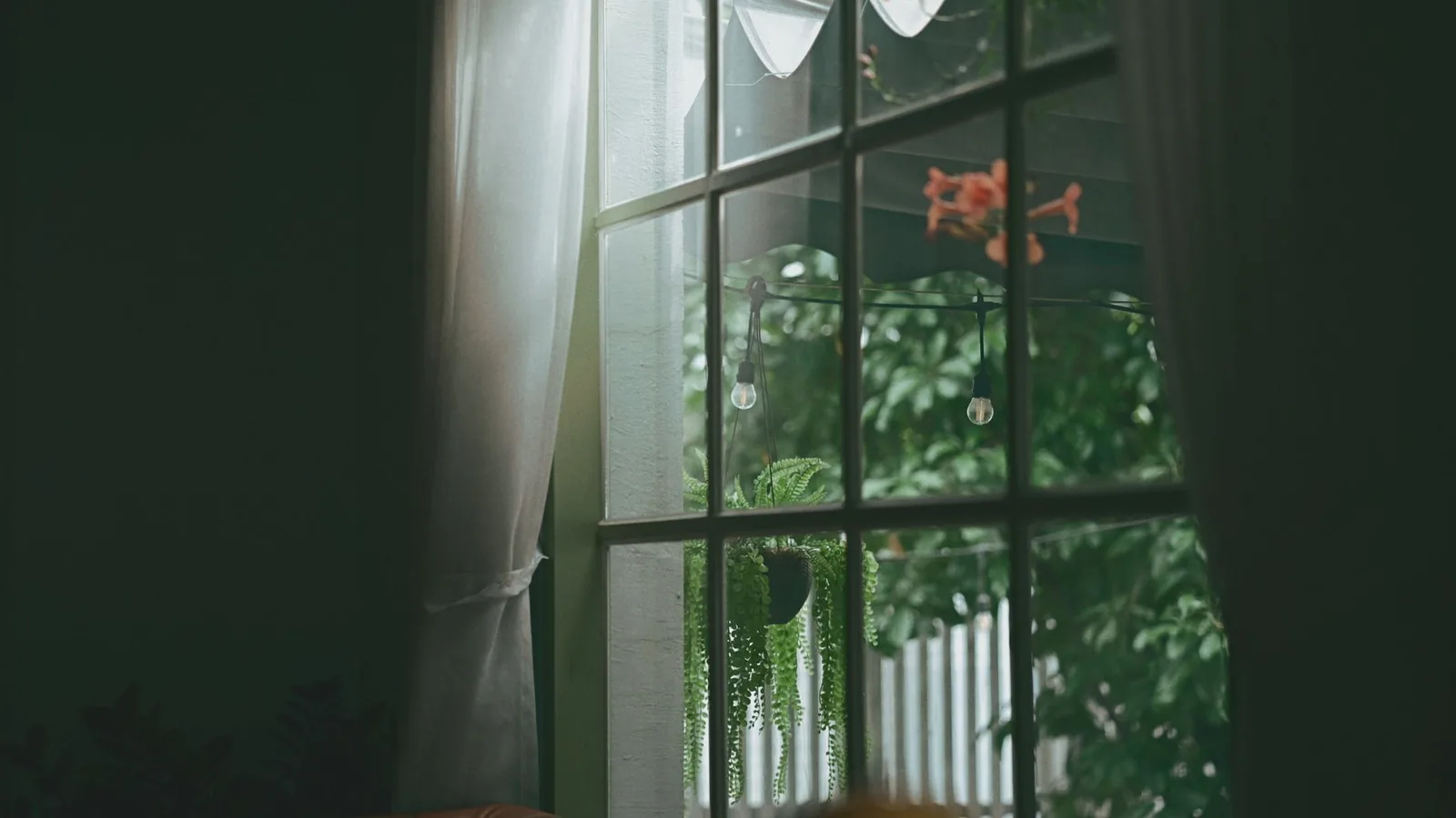 "View through a spotless clean window on a spring morning in Upstate New York with green lawn and blooming flowers outside"